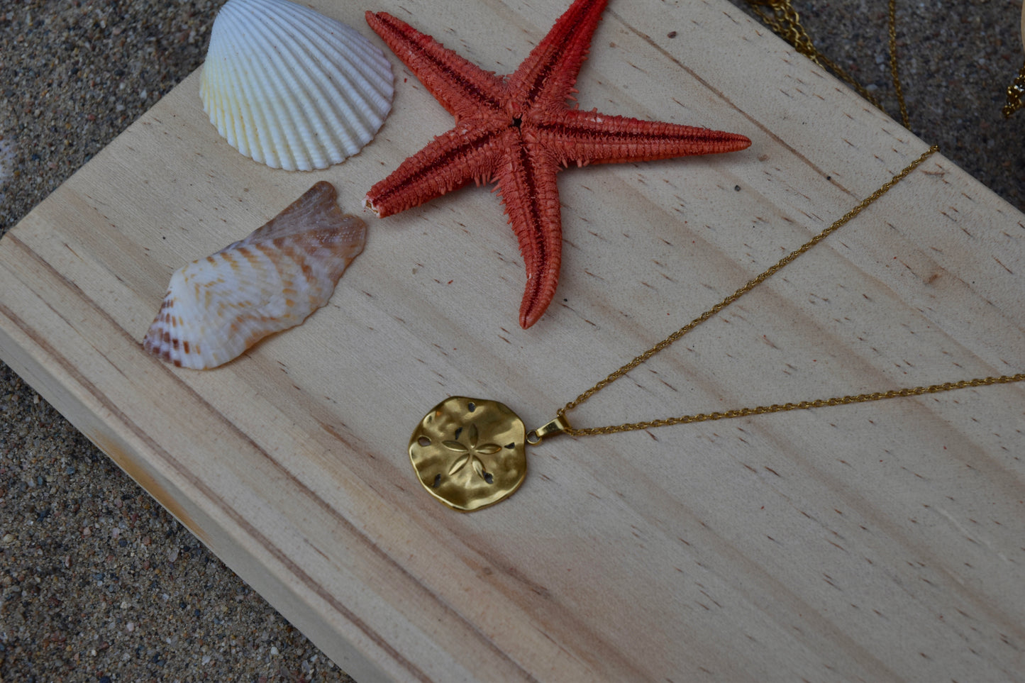 Sand Dollar: Pendant Necklace